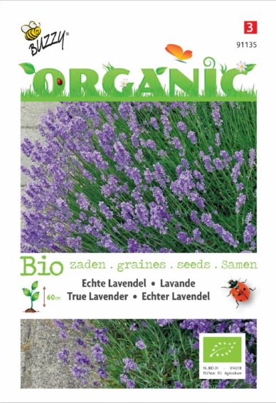 Echte Lavendel BIO (Lavandula angustifolia) 100 Samen BU
